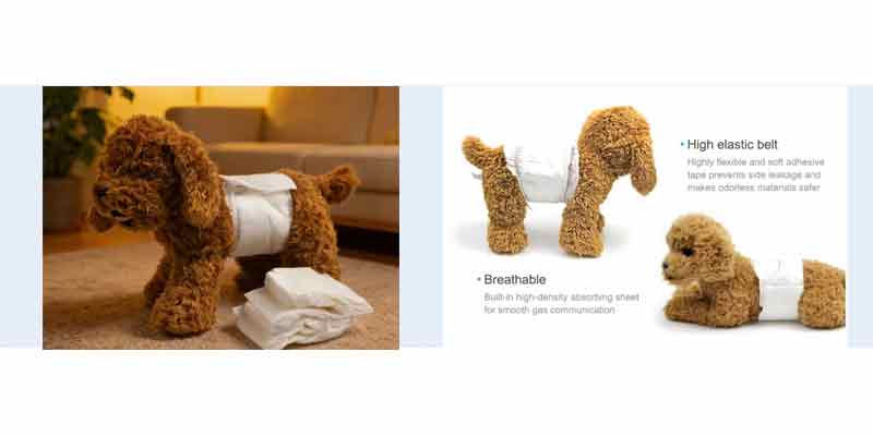 Male Dog Wraps